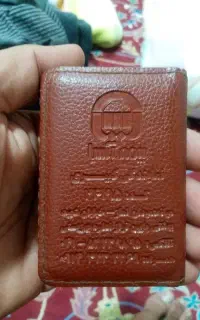 پیدا شده