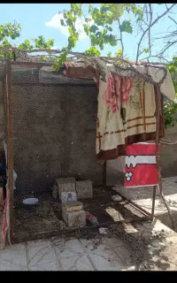 قفس بزرگ ۲ در۲ونیم