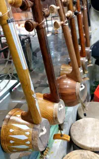 کمانچه گیتار تنبور تنبک سنتور دف خوانندگی آواز