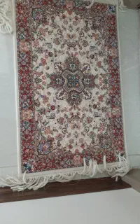پادری نو
