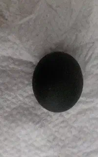شهاب سنگ