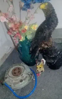 عتیقه