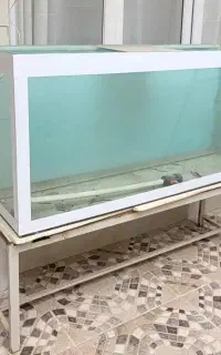 آکواریوم حرفه ای