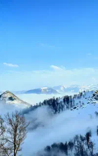 برای مهمانان گیلان،تورهای گیلانگردی برگزار میکنیم.