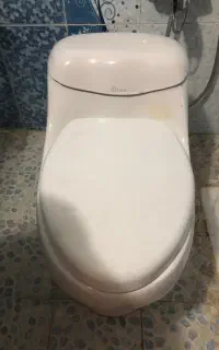 توالت فرنگی