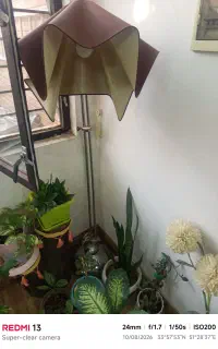 آباژور
