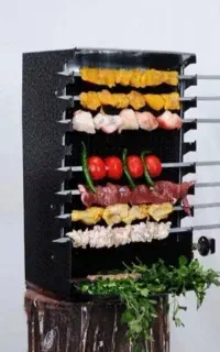 کباب پژ گازی