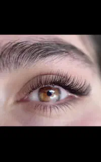 جشنواره پاییزی کاشت مژه  از۳۵۰
