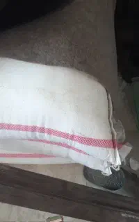 کود