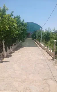 راهنمایی هدیه جالب