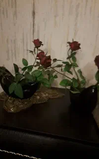گل سرخ