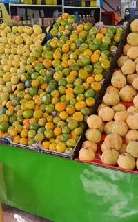 فروش پالت میوه