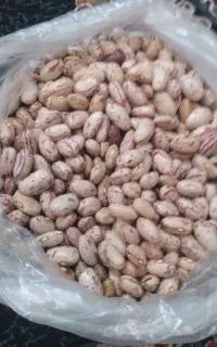 لوبیا چیتی