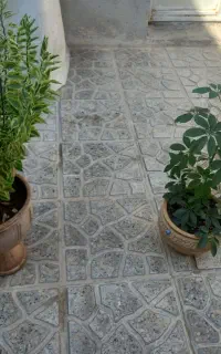 دو عدد گل