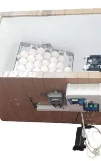 دستگاه جوجه کشی تمام اتوماتیک
