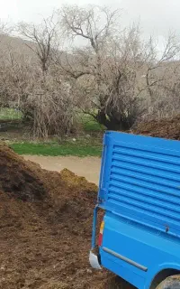 کودحیوانی(پهن)