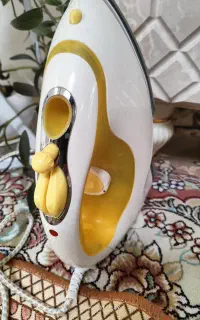 اتو بخار مارک ورداستار