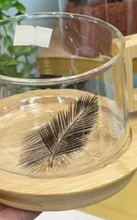 استکان پیرکس بامبو