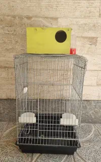 قفس بزرگ برای پرنده