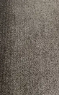 پالاز موکت