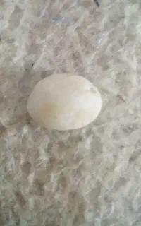سنگ
