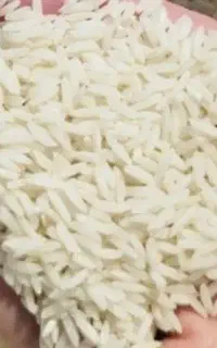 برنج طارم هاشمی درجه یک زیر قیمت
