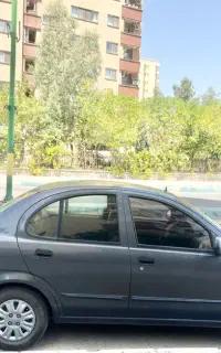 تیبا خاکستری