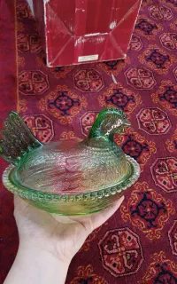 تنقلات خوری خروس هفت رنگ بوهمیا