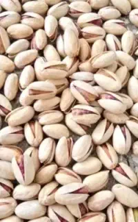 پسته خشک امسالی