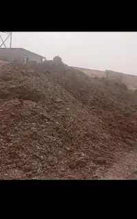 کود اسبی برای گلخانه باغ زمین گل و گیاه