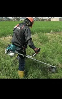 علف زدن وسمپاشی باغ