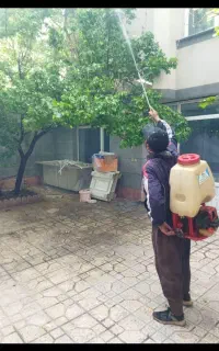 باغبانی در تهران و حومه