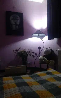 نظا‌فت‌کار‌خانوم