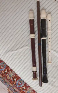 فلوت ریکوردر ونی عربی