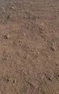 کود گوسفندی فقط (۱۰۰ هزارتومان)
