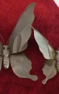 پروانه برنز