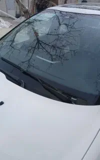 پژو ۲۰۷