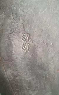 سه عدد اجناس قدیمی ومس وبرنج
