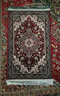 پادری مدل هریس