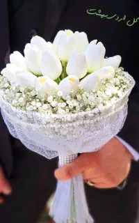 تاج گل ، ماشین عروس ، دسته گل ، باکس گل
