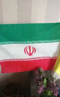 مربی آموزشگاه رانندگی