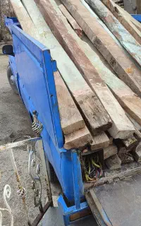 ماکت چوب نال حتی درخت