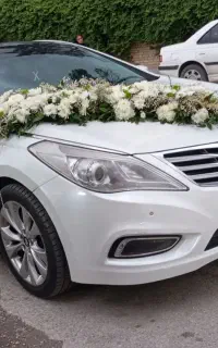 تشریفات عروسی پورسیف