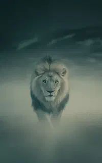 راننده بین شهری شهری