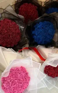 شاخه ای واقعا فقط ۱۵هزار