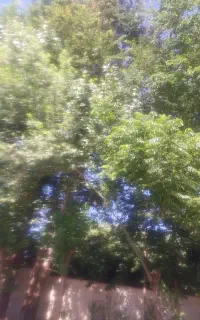 سیم کارت 09120530