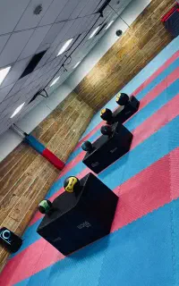 آموزش ووشو