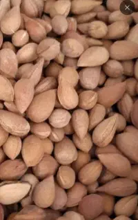 بادام تلخ(وایک)