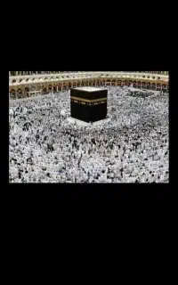 فیش حج عمره ۲ عدد