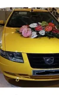 بروجن و حومه با سواری برون شهری وتاکسی به کل ایران